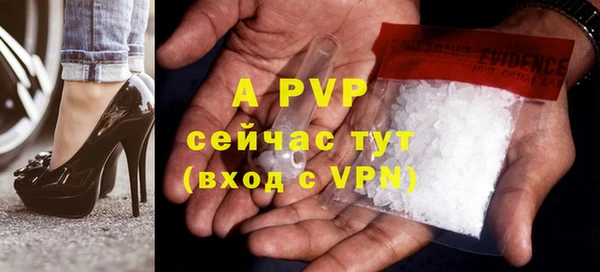 шишки Верхний Тагил
