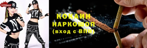 дмт Бородино