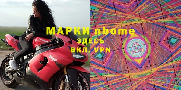 шишки Верхний Тагил